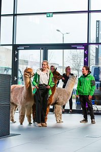 Das Modernste in Europa