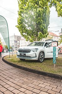 Wei&szlig;es Skoda Fahrzeug mit Skoda Beachflag daneben; ein Baum im Hintergrund

